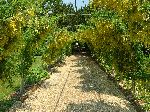 2006-0608-1224-53.jpg
